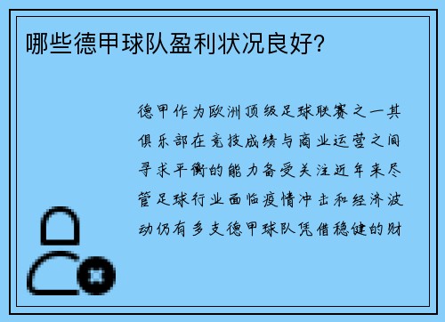 哪些德甲球队盈利状况良好？